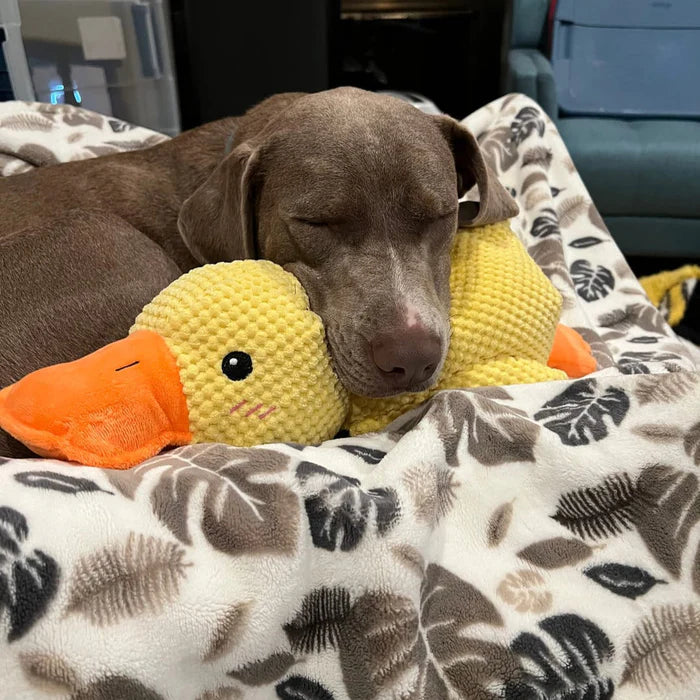 Calming Duck Dog Toy