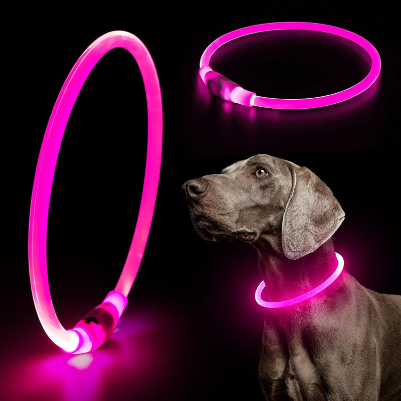 Light Up Dog Collars