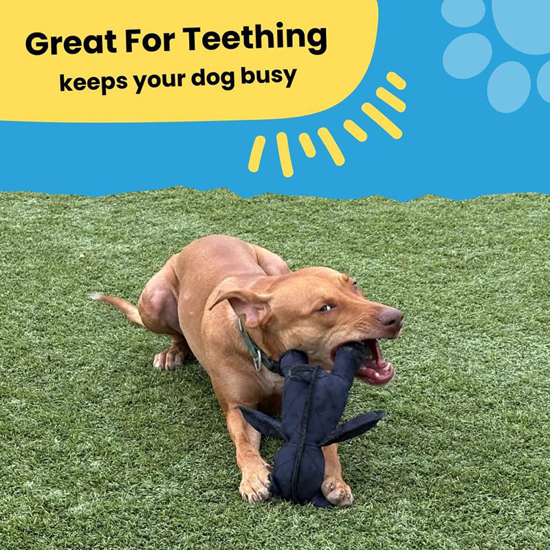 2025 Upgrade Indestructible & Interactive Bear Dog Toys For Heavy Chewers
