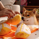 Orange Hide-and-Seek Plush Dog Toy