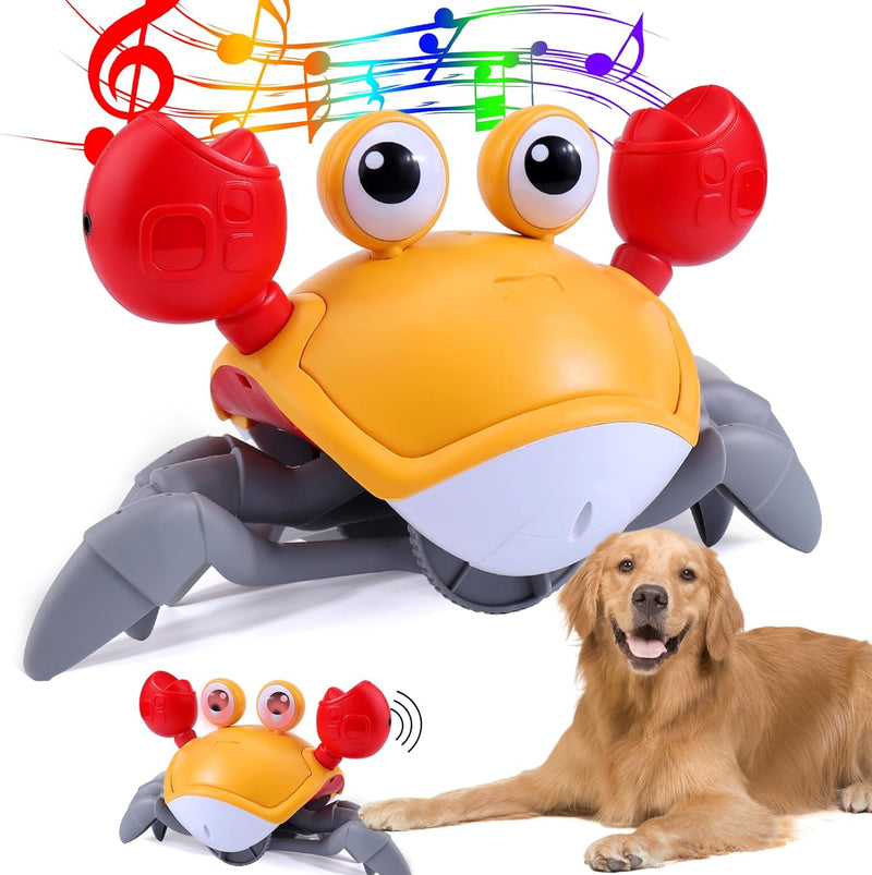 Crawling Crab Interactive Dog Toy