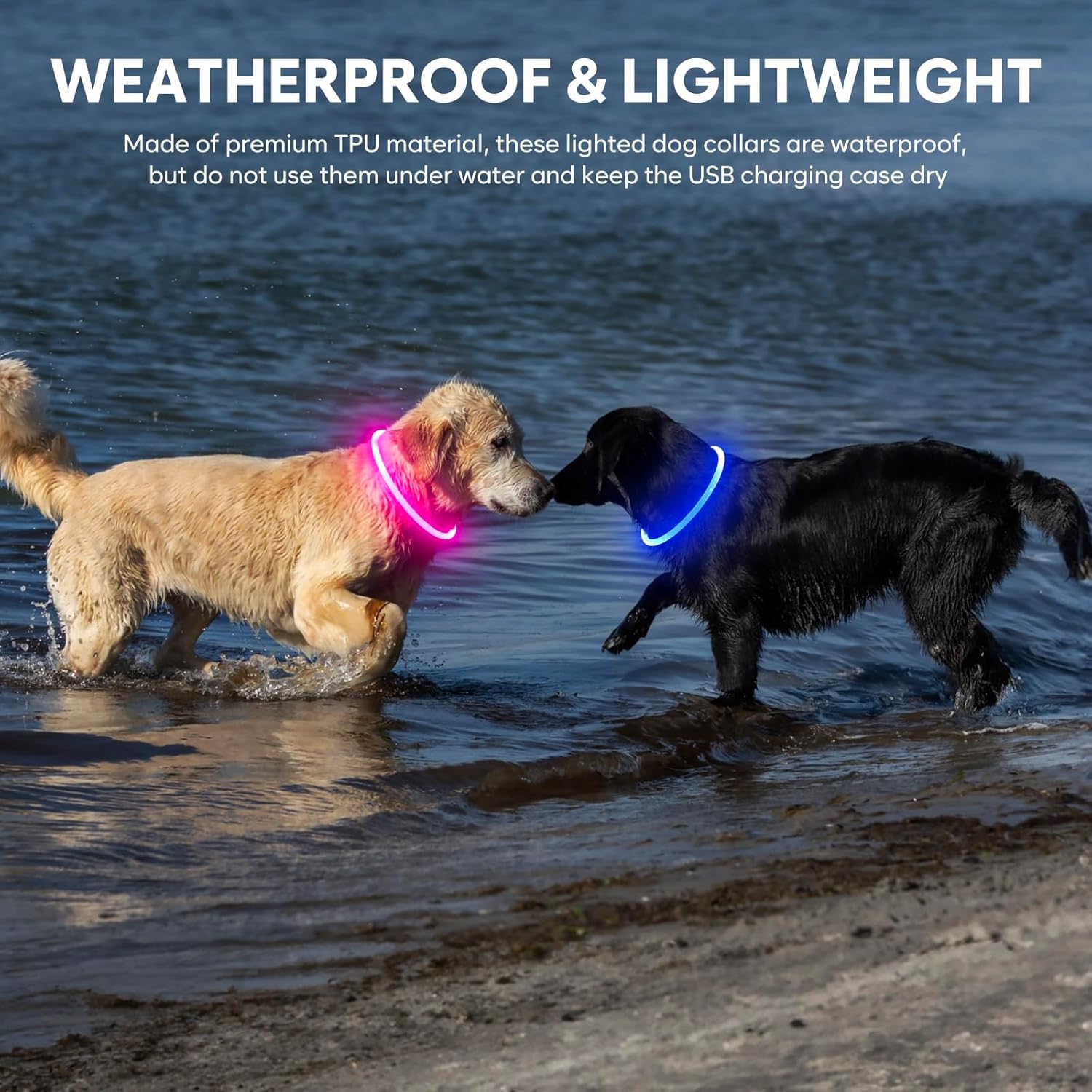 Light Up Dog Collars