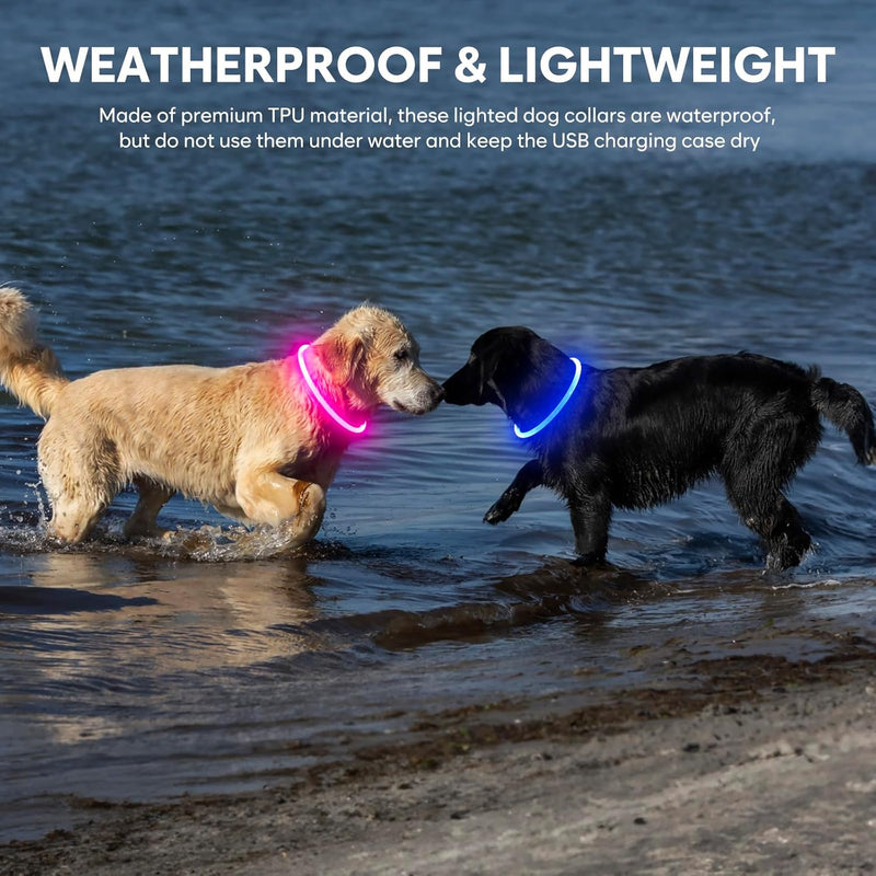 Light Up Dog Collars