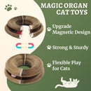 Kitty Kurlz Accordion Magic Organ Cat Scratcher Toys