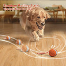 2 Pack Interactive Rolling Ball Dog Toy