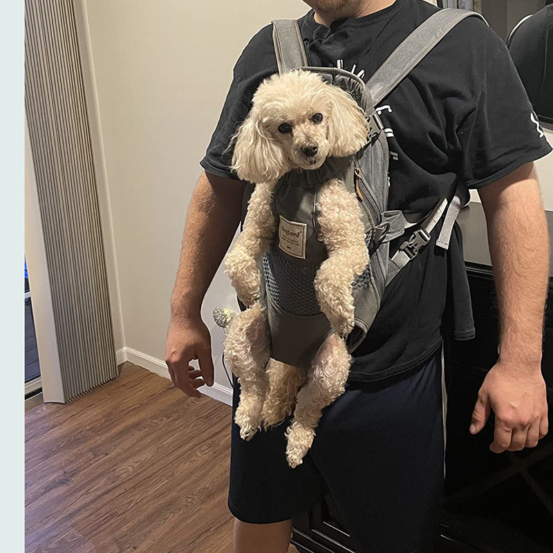 Hands-Free Carrier Backpack