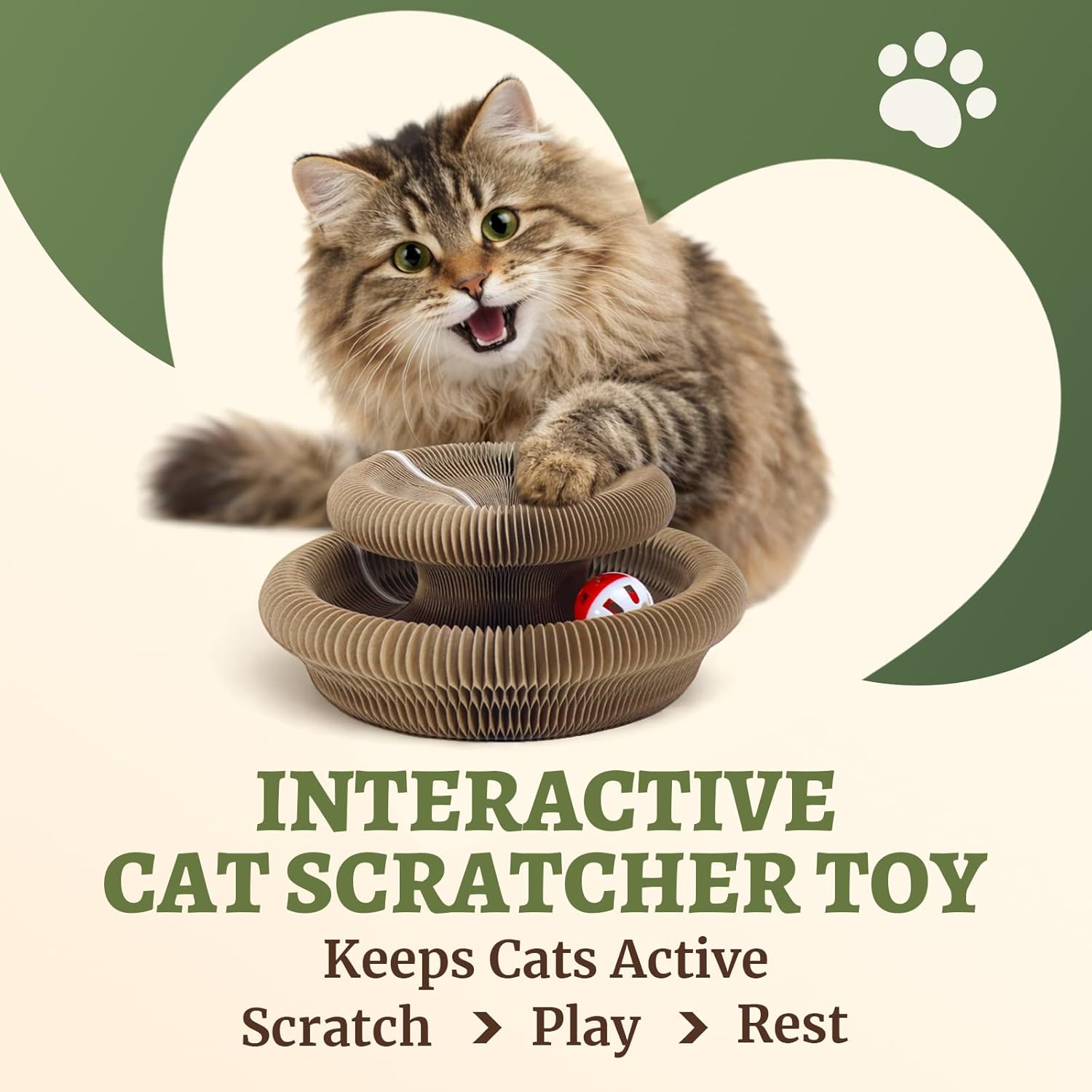 Kitty Kurlz Accordion Magic Organ Cat Scratcher Toys