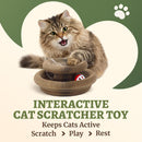 Kitty Kurlz Accordion Magic Organ Cat Scratcher Toys