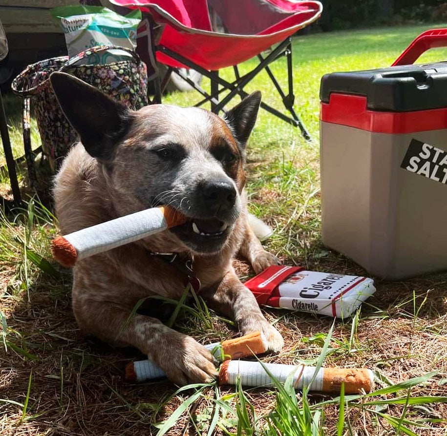 dogs cigarette toy Smoking is bad for you! But dog cig toys are one of the best gifts you can give yourself. Trust me. We have laughed so hard for the last 24 hours. This Creative Funny Durable Plush Cigarette