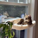 Cordless Cat Window Perch