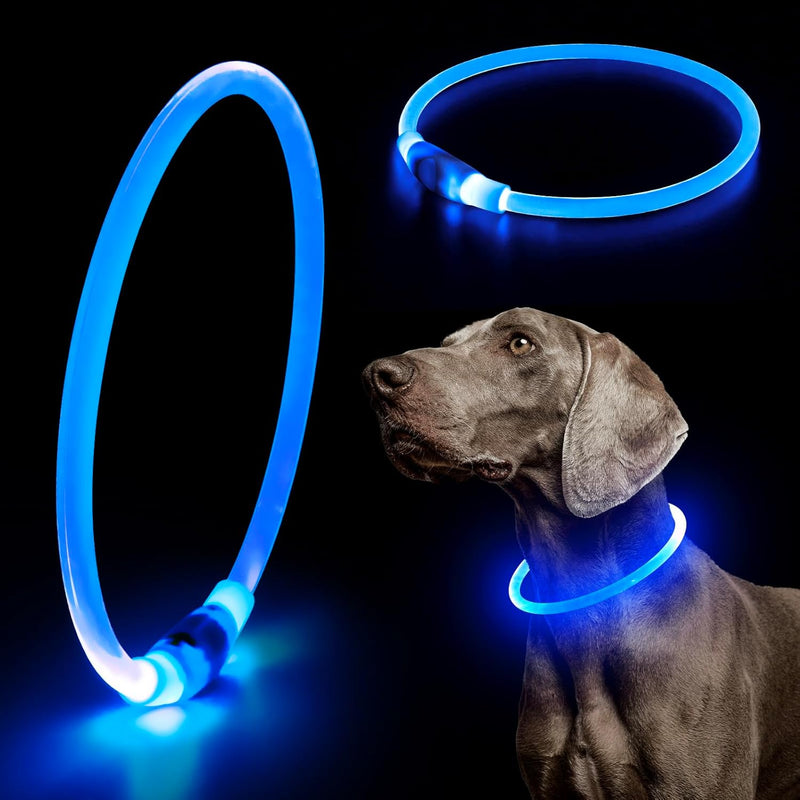 Light Up Dog Collars