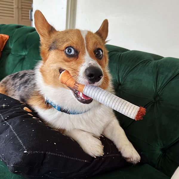 Cigarette Dog Toys