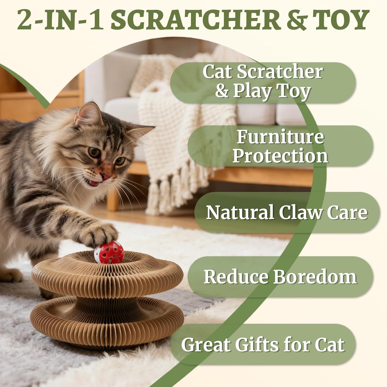 Kitty Kurlz Accordion Magic Organ Cat Scratcher Toys