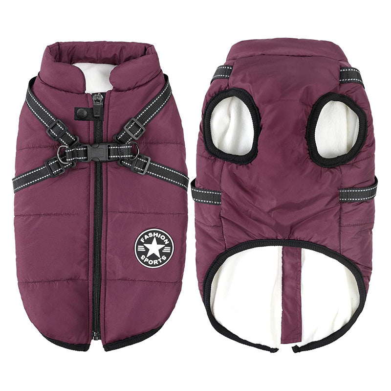 Winter Jacket For Dogs