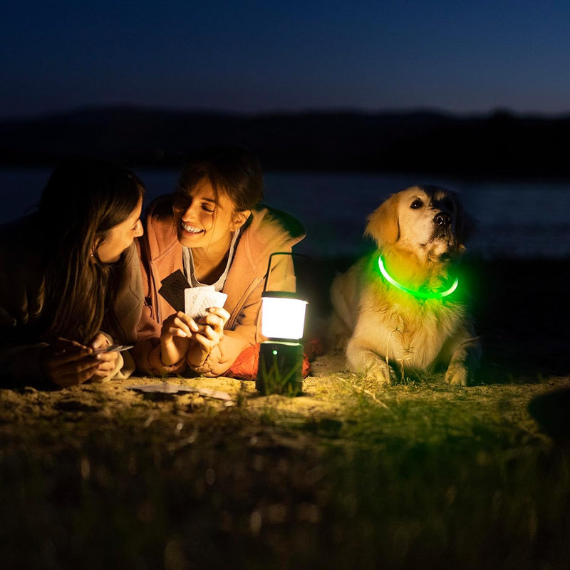 Light Up Dog Collars