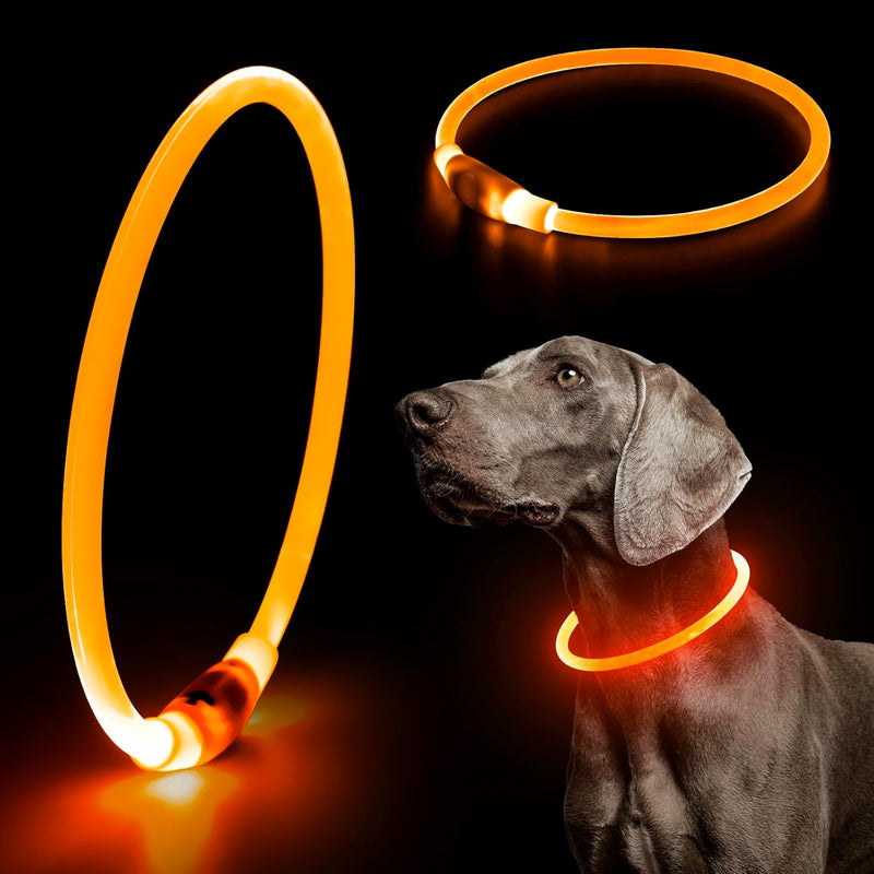 Light Up Dog Collars