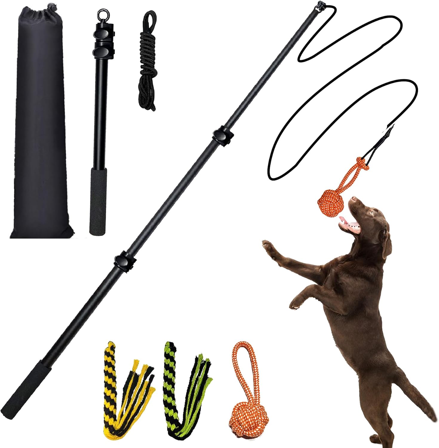 Interactive Flirt Pole Toy for Dogs