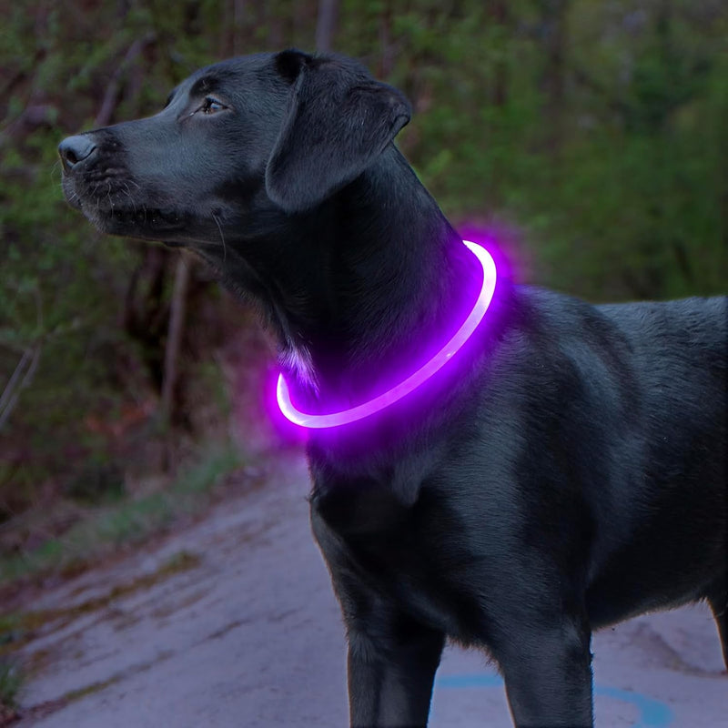 Light Up Dog Collars