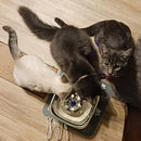 Stainless Steel Cat Water Fountain