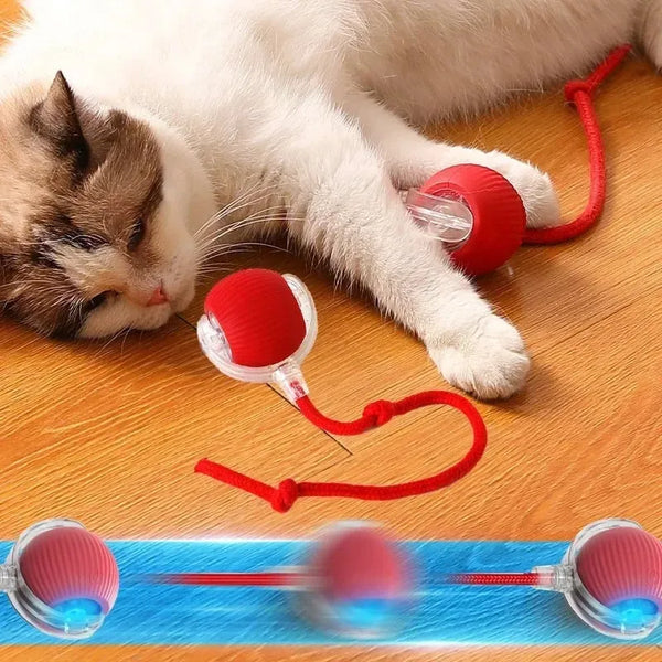 2024 New - Interactive Rolling Ball for Cat & Dog