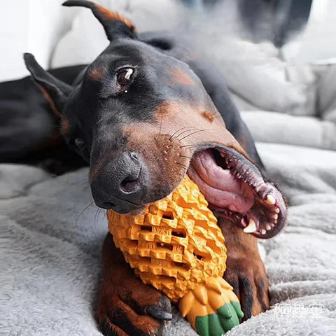 Pineapple Dog Chew Toys With Treat Fill for Aggressive Chewer