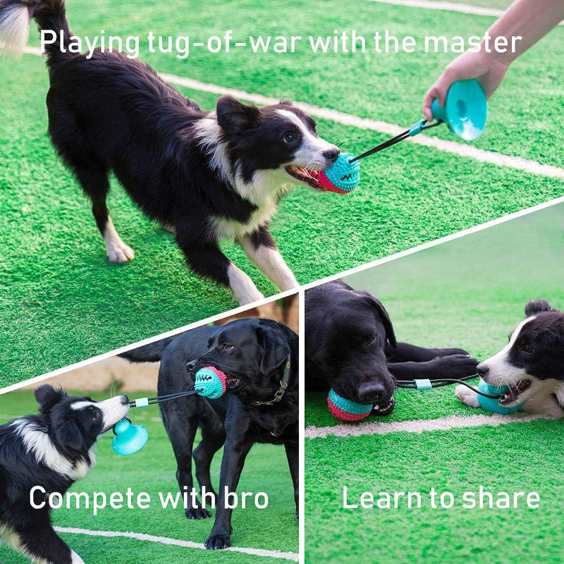 Suction Cup Dog Toys