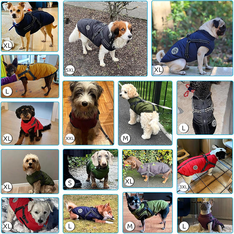 Waterproof Winter Jacket with Built-in Harness For Dogs