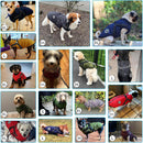 Winter Jacket For Dogs