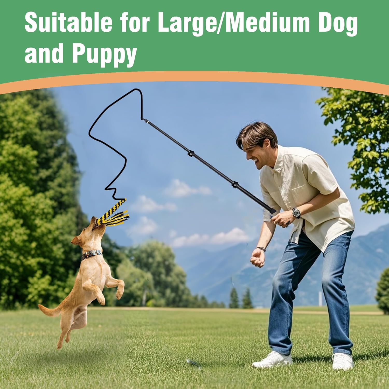 Interactive Flirt Pole Toy for Dogs