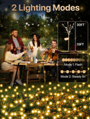 Solar Garden Lights - 2025 New Upgraded Leaf Design 10 LED Solar Firefly Lights