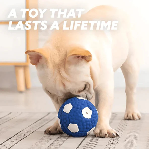 Chew Ball - Immortal Toy For Aggressive Chewers