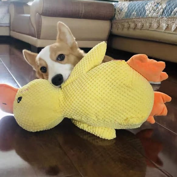Calming Yellow Duck Toy for Dog