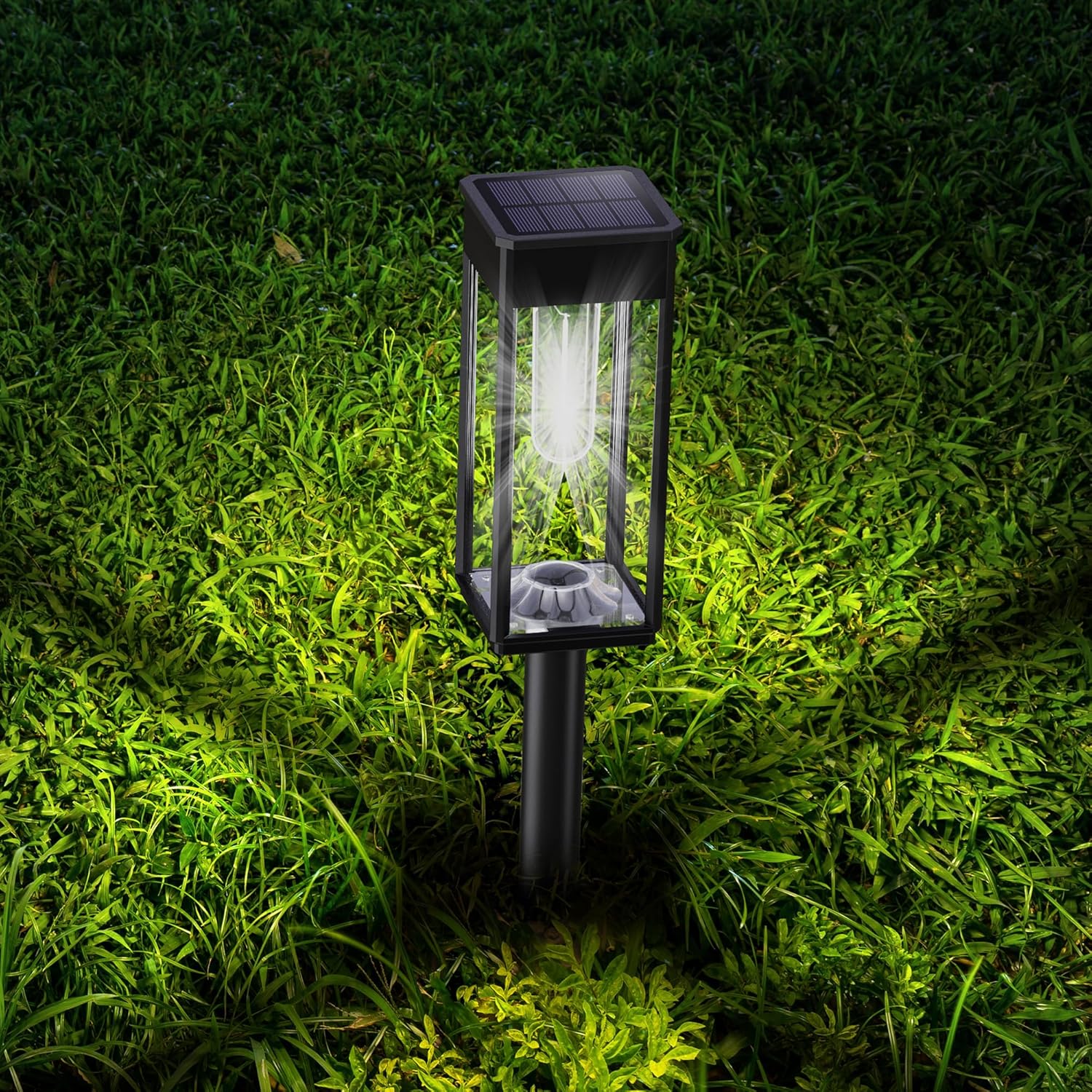 Garden Pathway Lights: Solar Path Lights for Walkways and Gardens