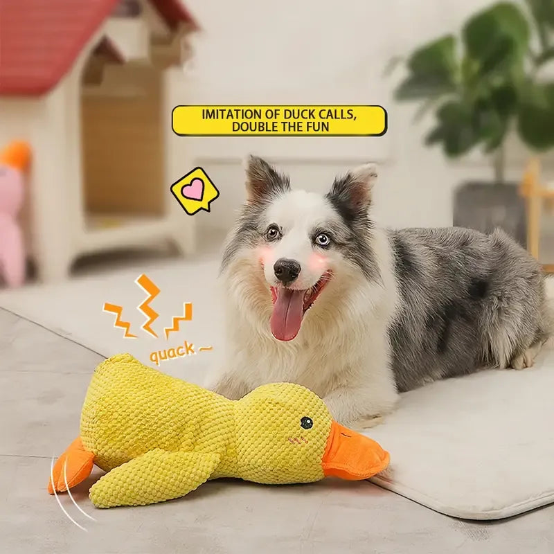 Beautiful view of Calming Dog Toys For Senior Crates