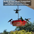 Ant Proof Hummingbird Feeder Outdoor Hanging Perch
