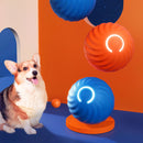 Smart Interactive Dog Toy 🐶