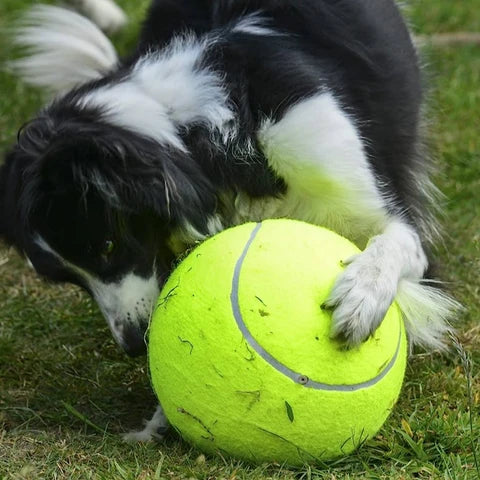 Jumbo Tennis Ball for Dogs - 9.5 Inch Giant Inflatable Dog Toy with Basketball Core