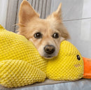 Calming yellow Duck toy