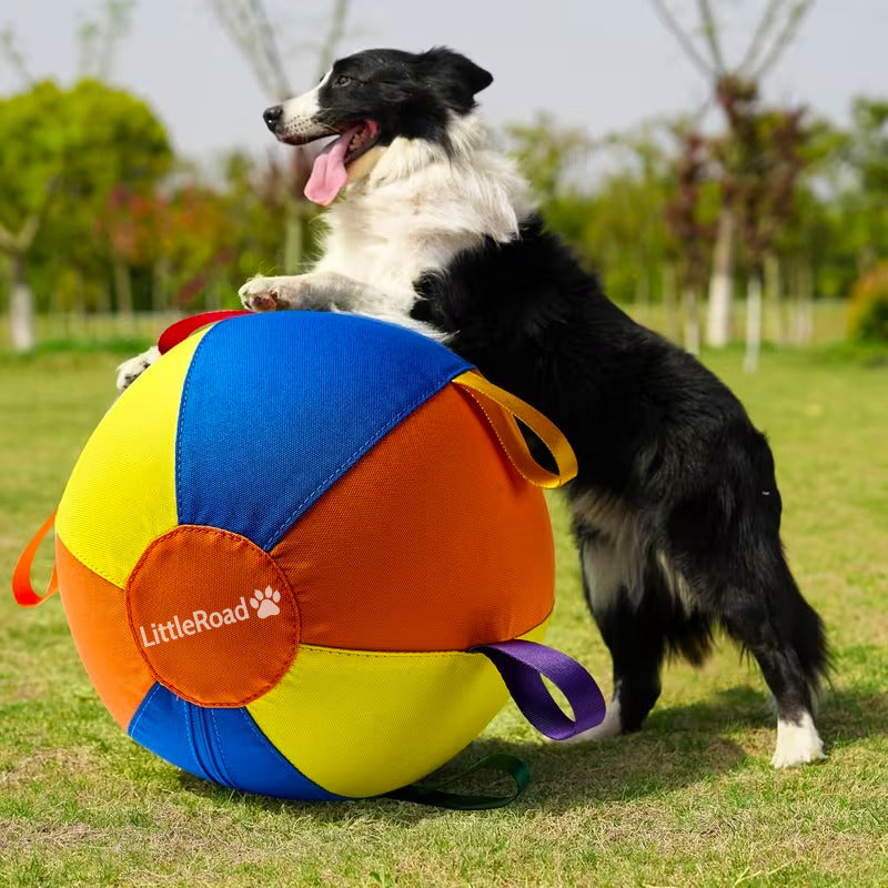 Calming Jumbo Ball for Dogs