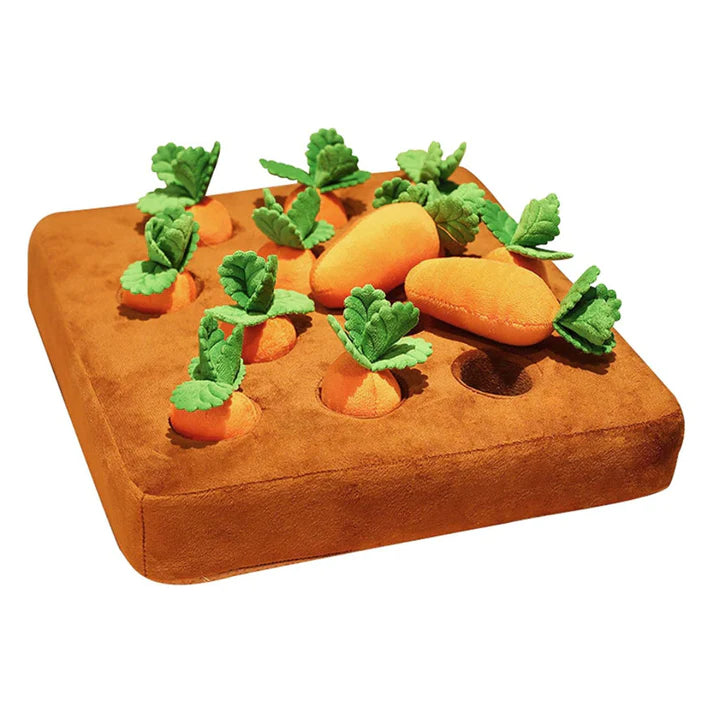 Carrot Garden - Plush Dog Toy