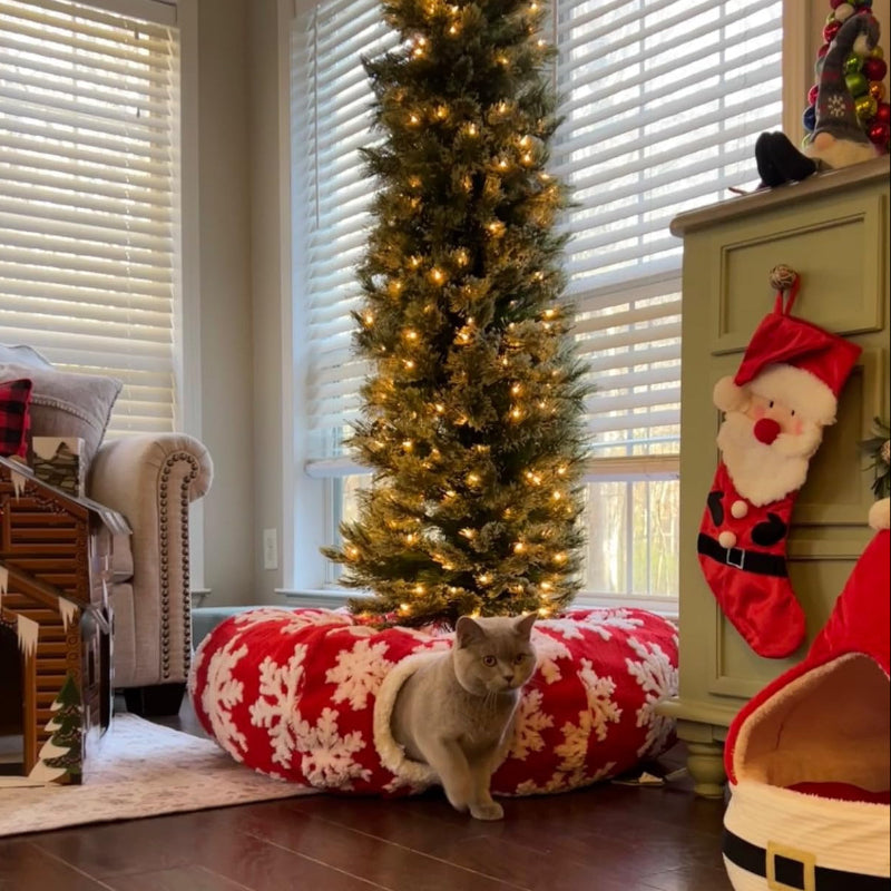 These Christmas tree tunnels are perfect for dachshunds, other small dogs, and cats this holiday season! 