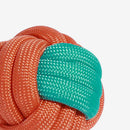 Color Clash Knots Rope Tug Toy for Dogs