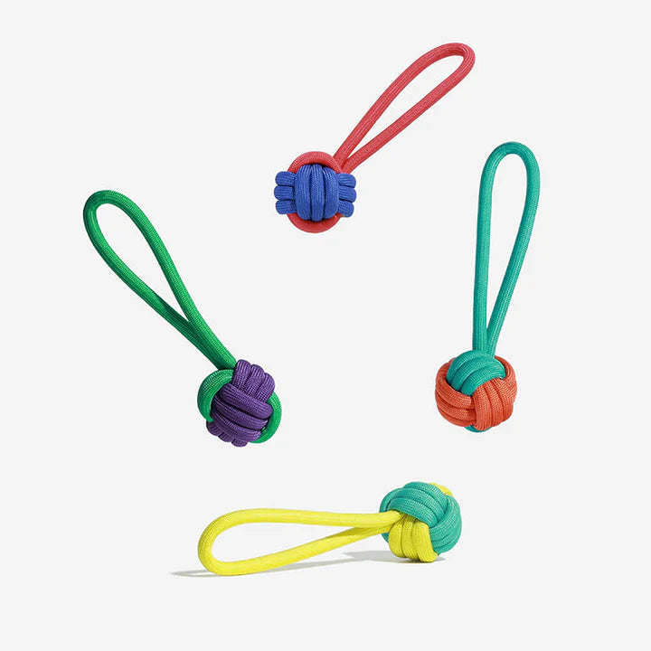 Color Clash Knots Rope Tug Toy for Dogs