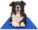 Chillz Cooling Pad For Dogs
