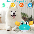 Crawling Crab Interactive Dog Toy