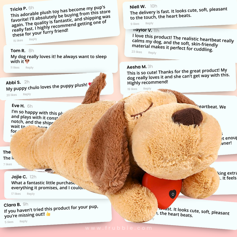 The Calming Heartbeat Puppy Toys for Dog