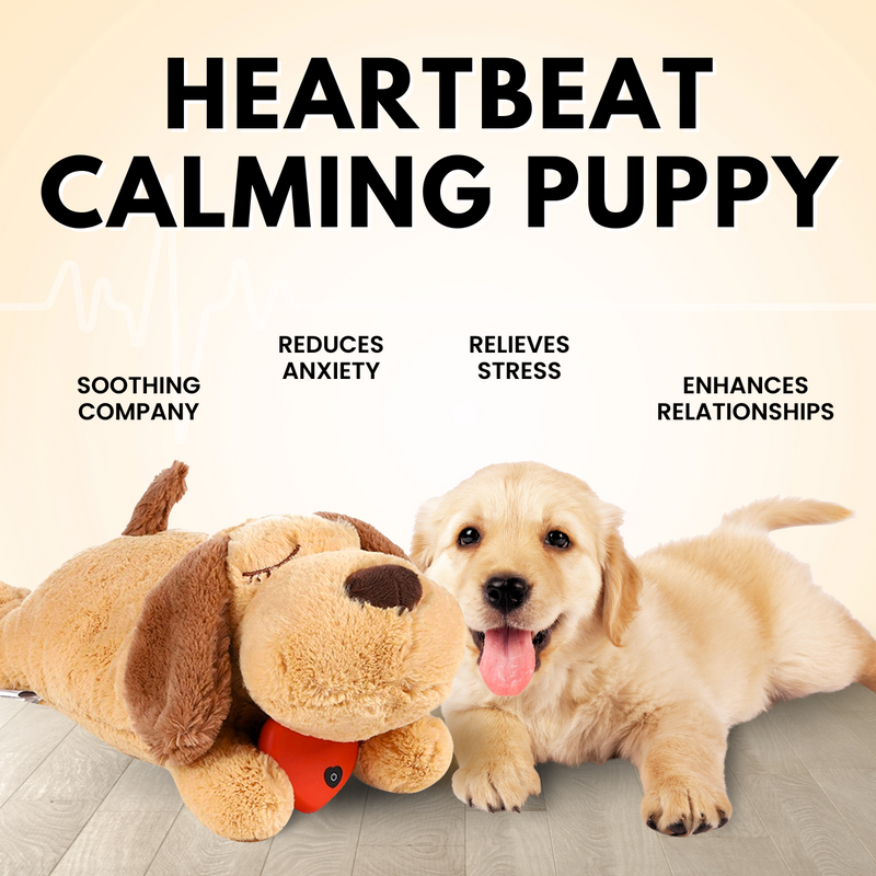 The Calming Heartbeat Puppy Toys for Dog