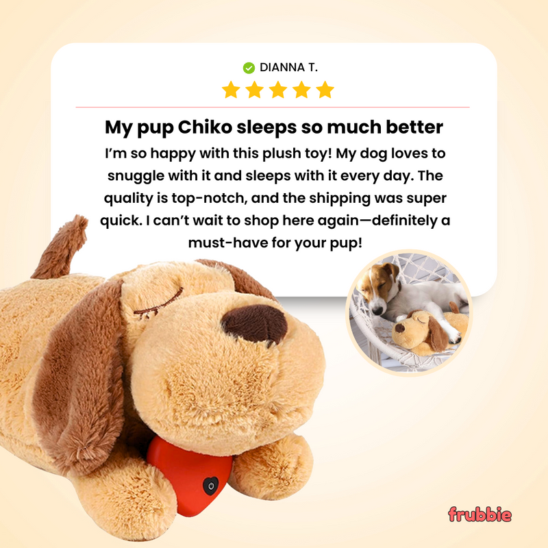 The Calming Heartbeat Puppy Toys for Dog