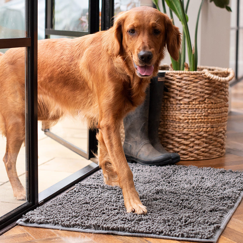 Absorbent Dog DoorMat