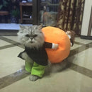Dog Pumpkin Halloween Costume